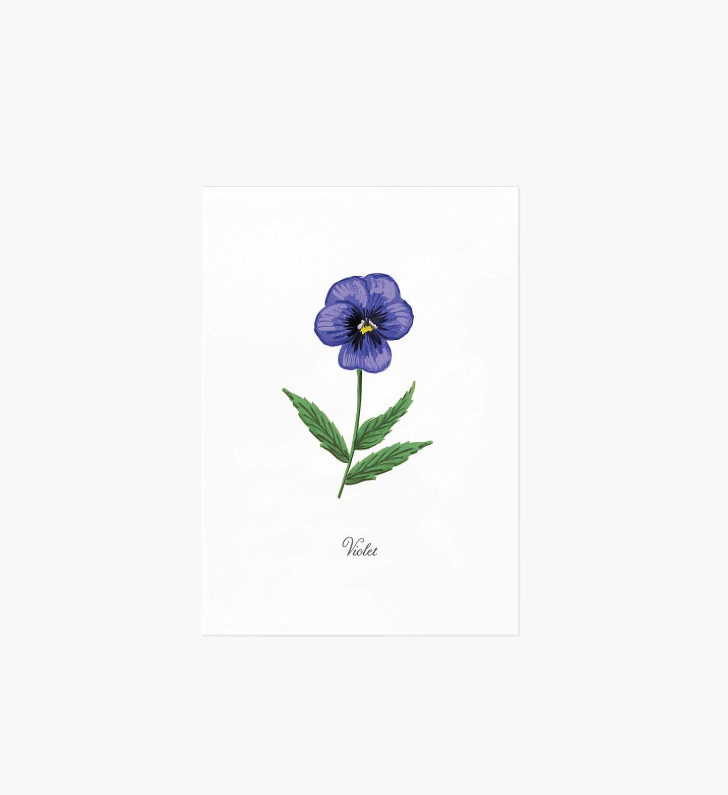 Birth Month Art Print - February