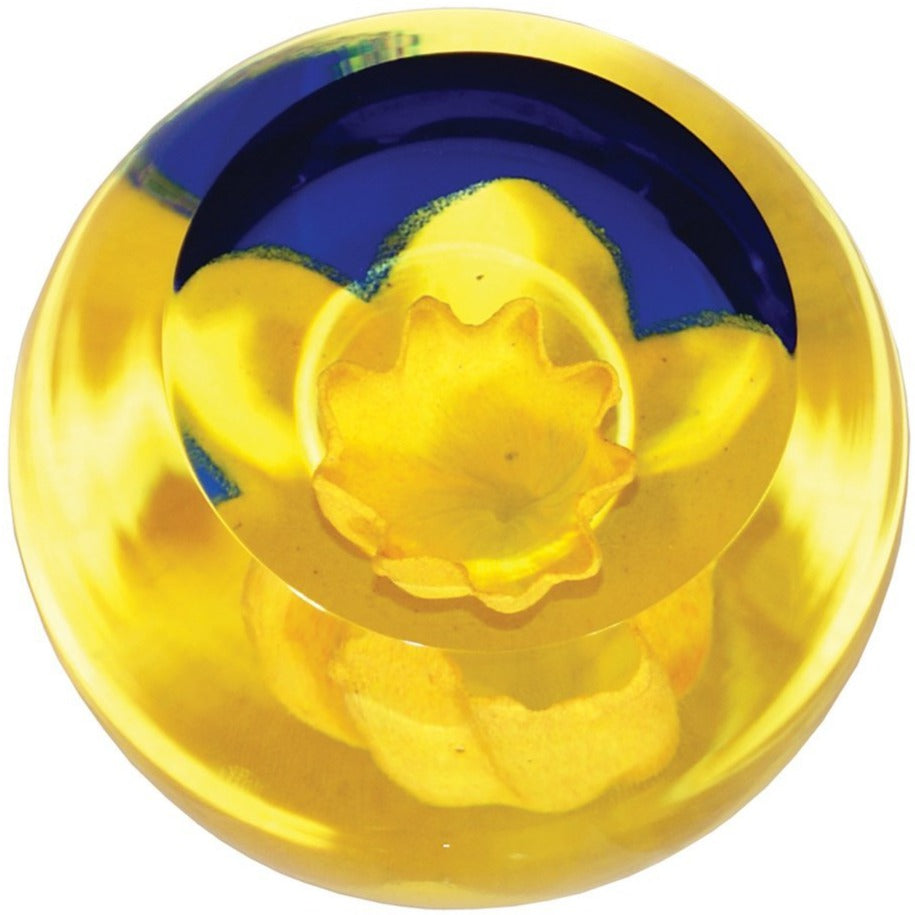 Caithness - Floral Charms - Daffodil