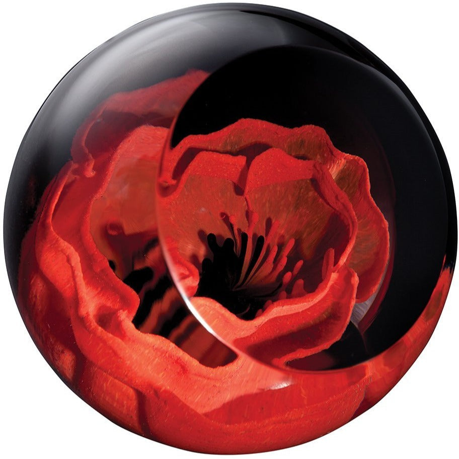 Caithness Glass Remembrance Poppy Paperweight