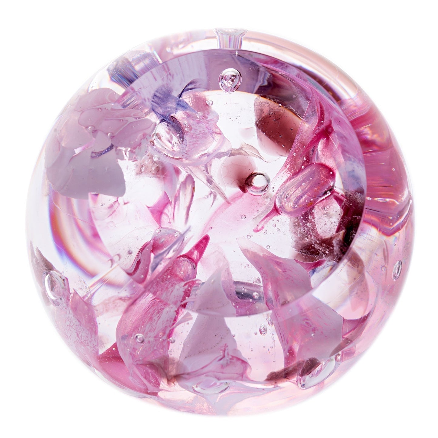 Caithness Rejoice Pink