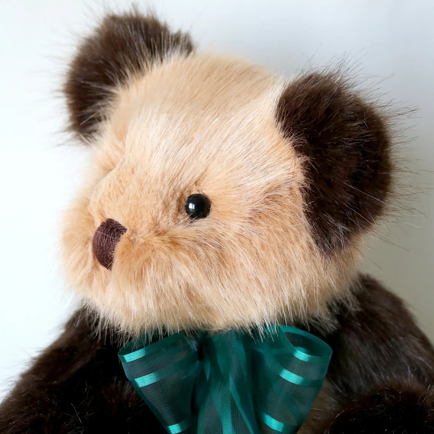Canterbury Bears Coco
