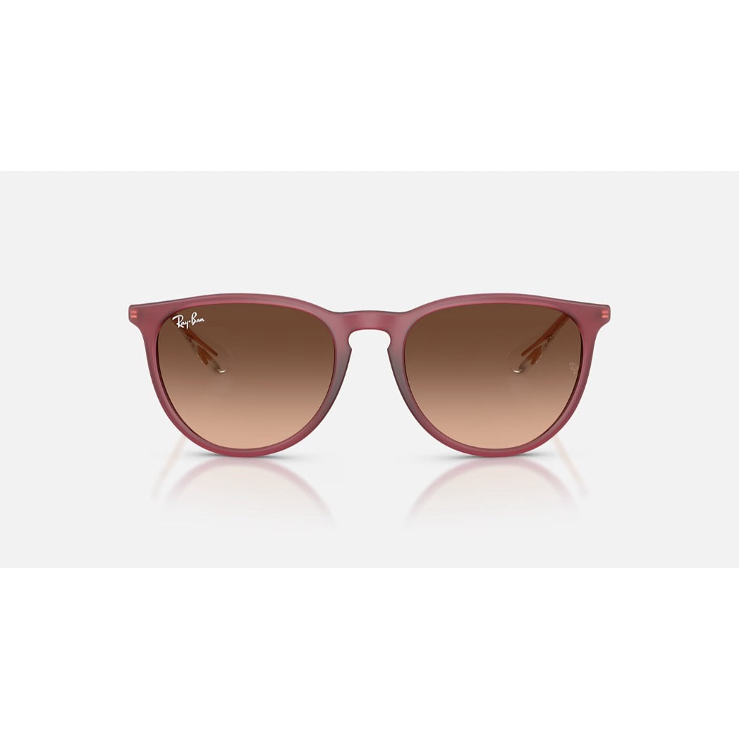 RAYBAN - ERIKA | Polished Rubber Violet w/ Pink Gradient Brown
