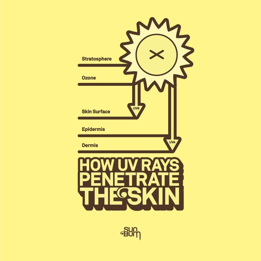 SUN BUM - Tanning | Browning Lotion SPF 15
