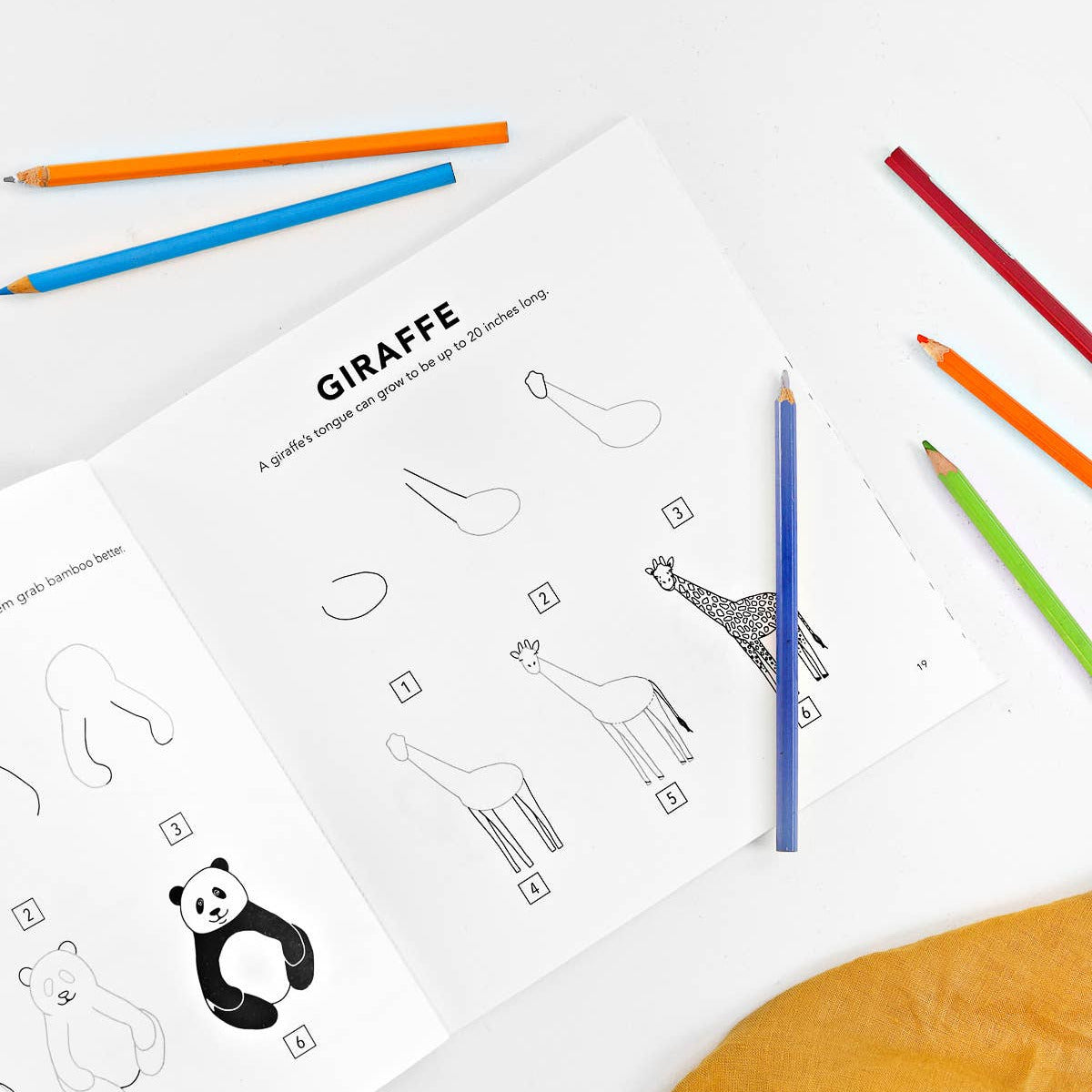 All The Animals: A How to Draw Art Book for Kids