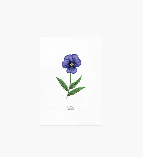 Birth Month Art Print - February