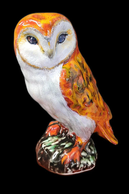 Anita Harris Barn Owl
