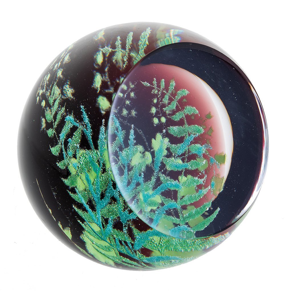 Caithness Ferns