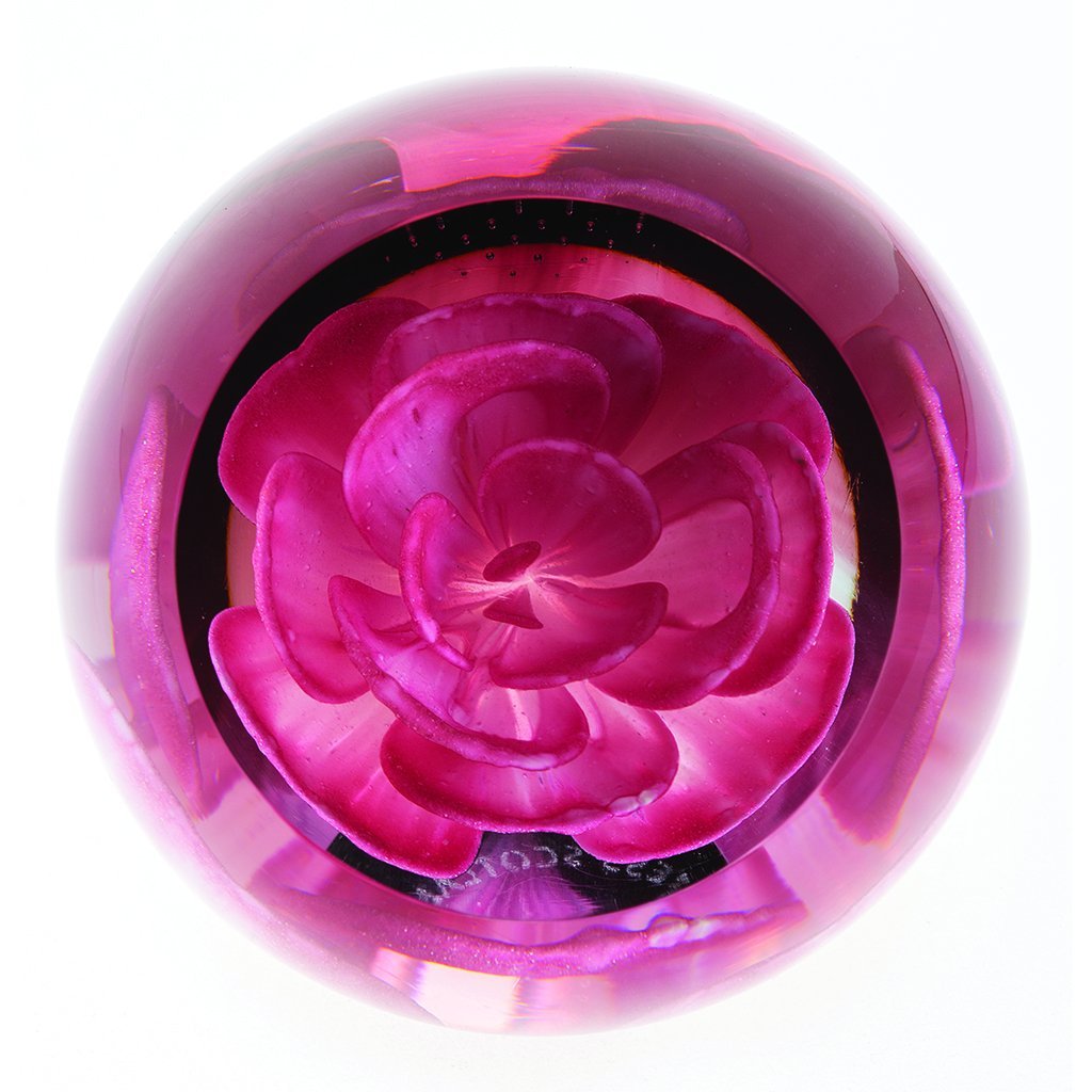 Caithness Glass  Floral Charms Carnation Paperweight