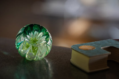 Caithness Glass Royal Botanical Garden Waterlily