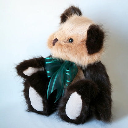 Canterbury Bears Coco