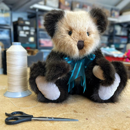Canterbury Bears Coco