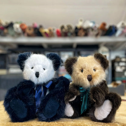 Canterbury Bears Coco