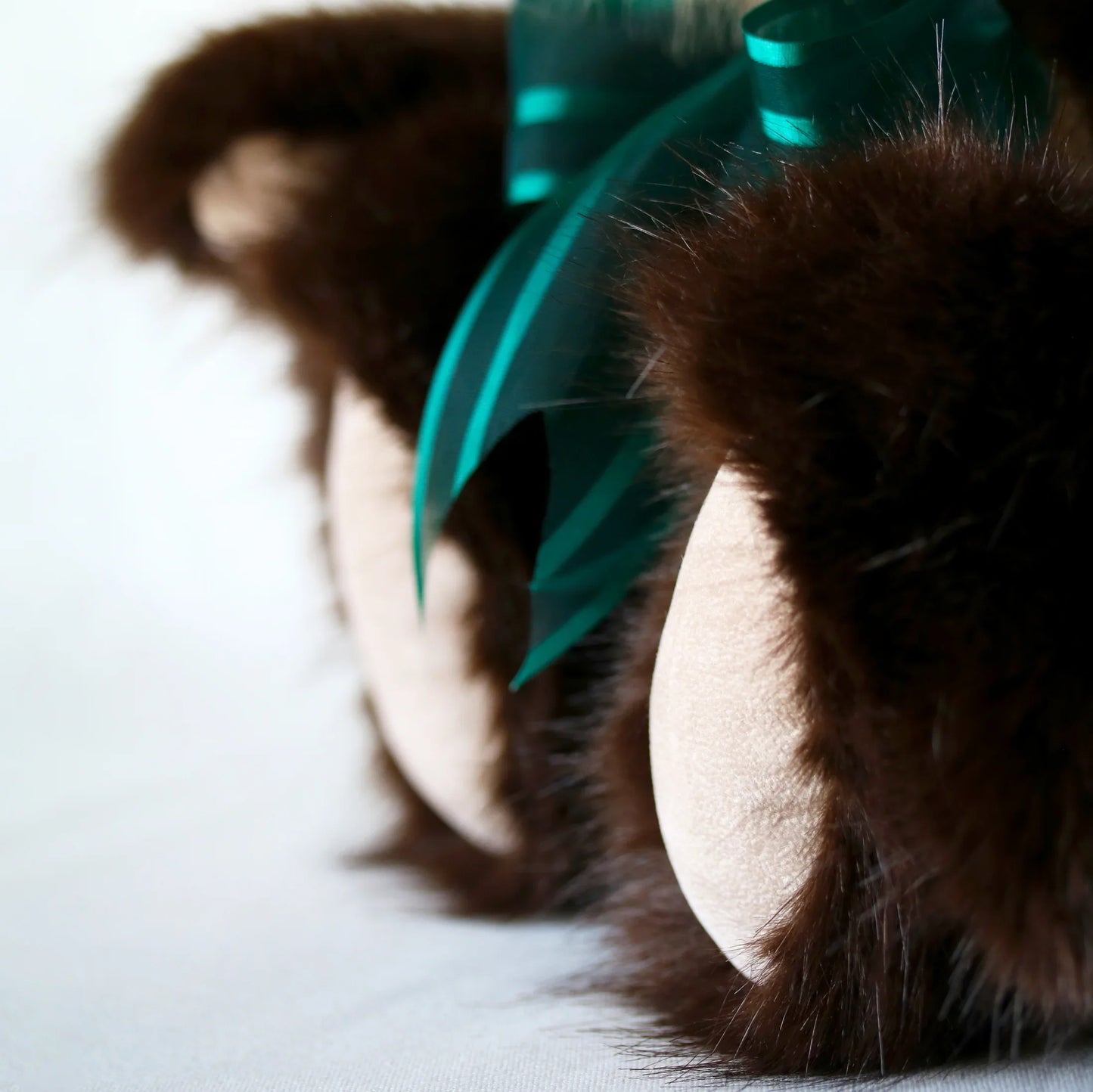 Canterbury Bears Coco