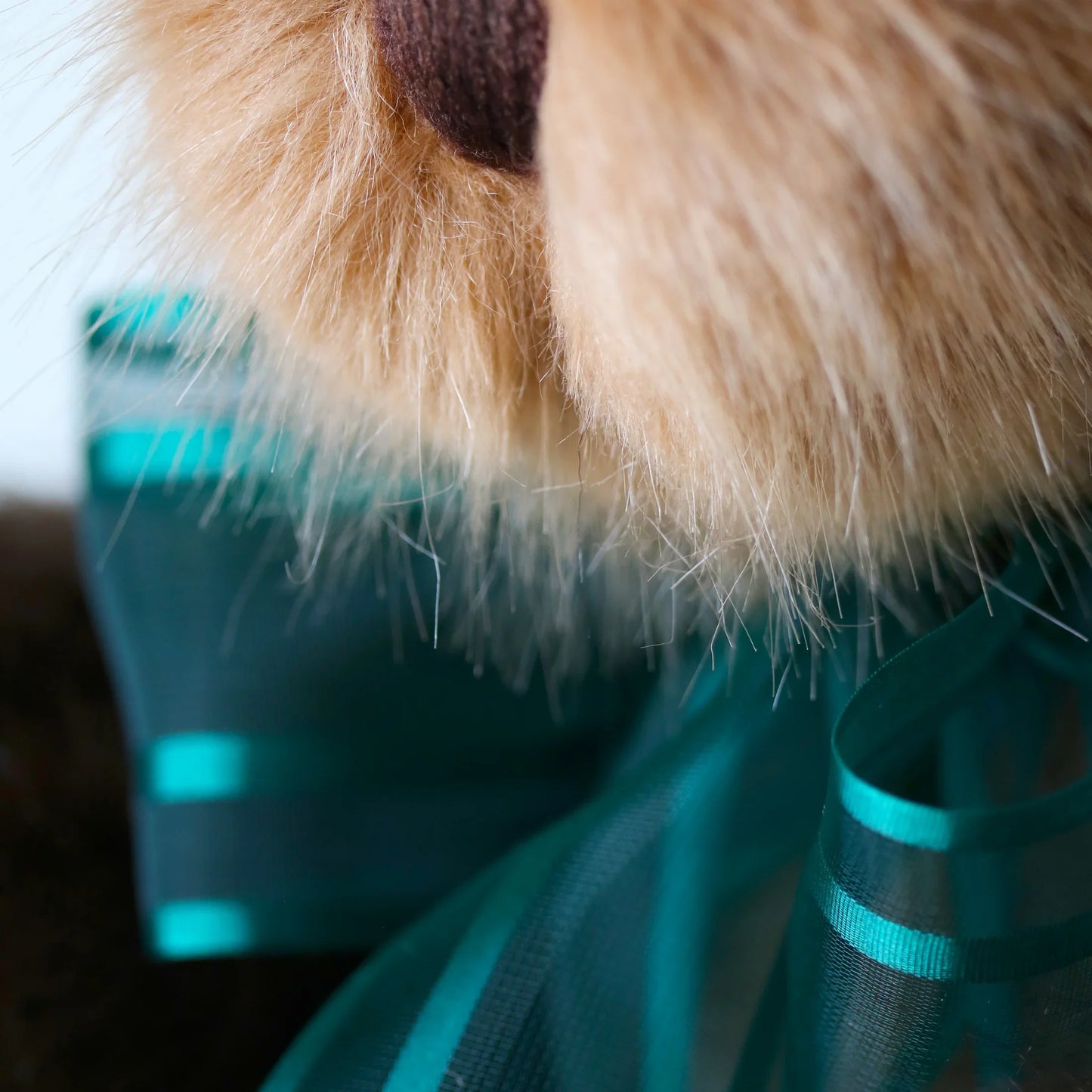 Canterbury Bears Coco