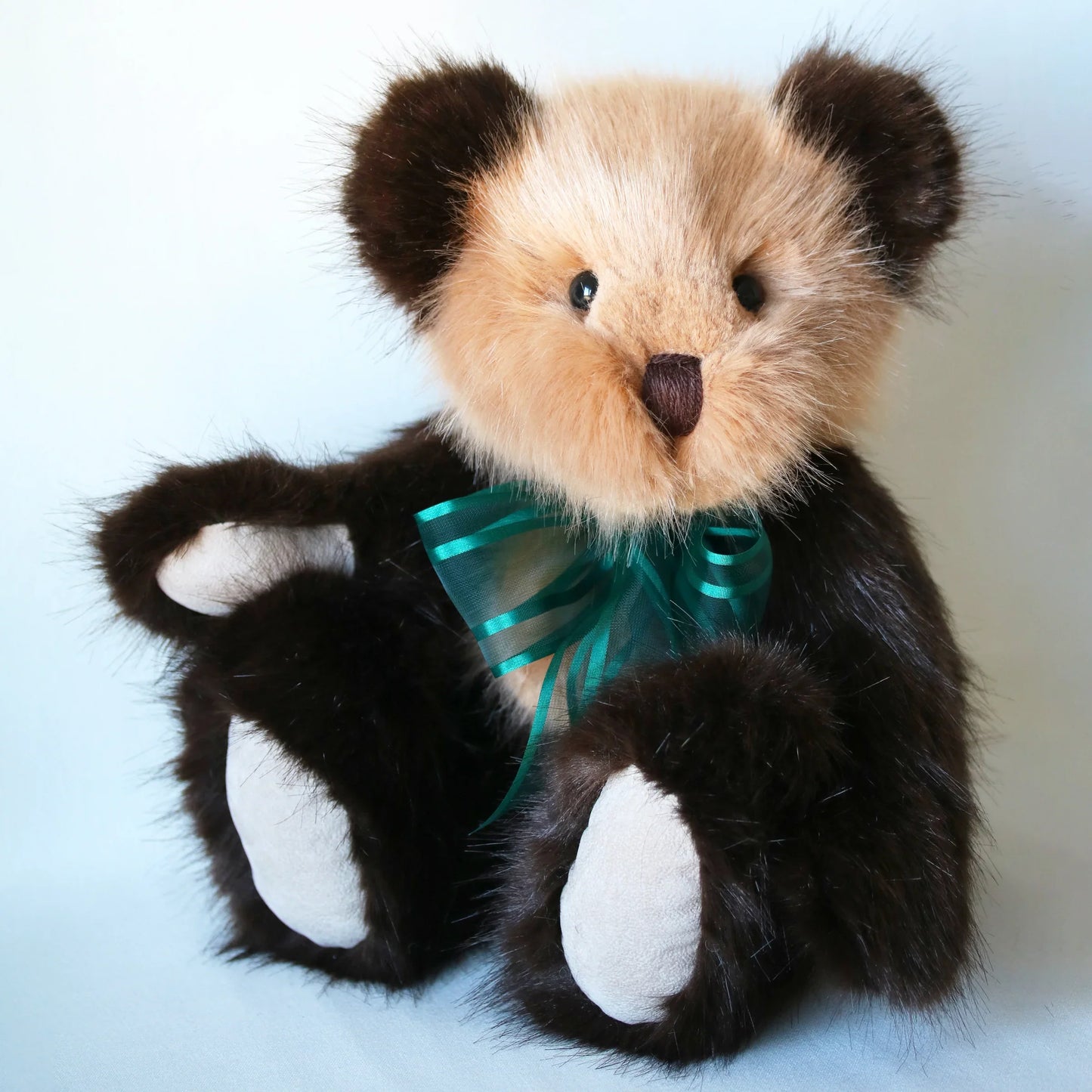 Canterbury Bears Coco
