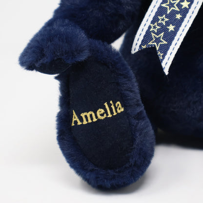 Canterbury Bears Midnight Bear