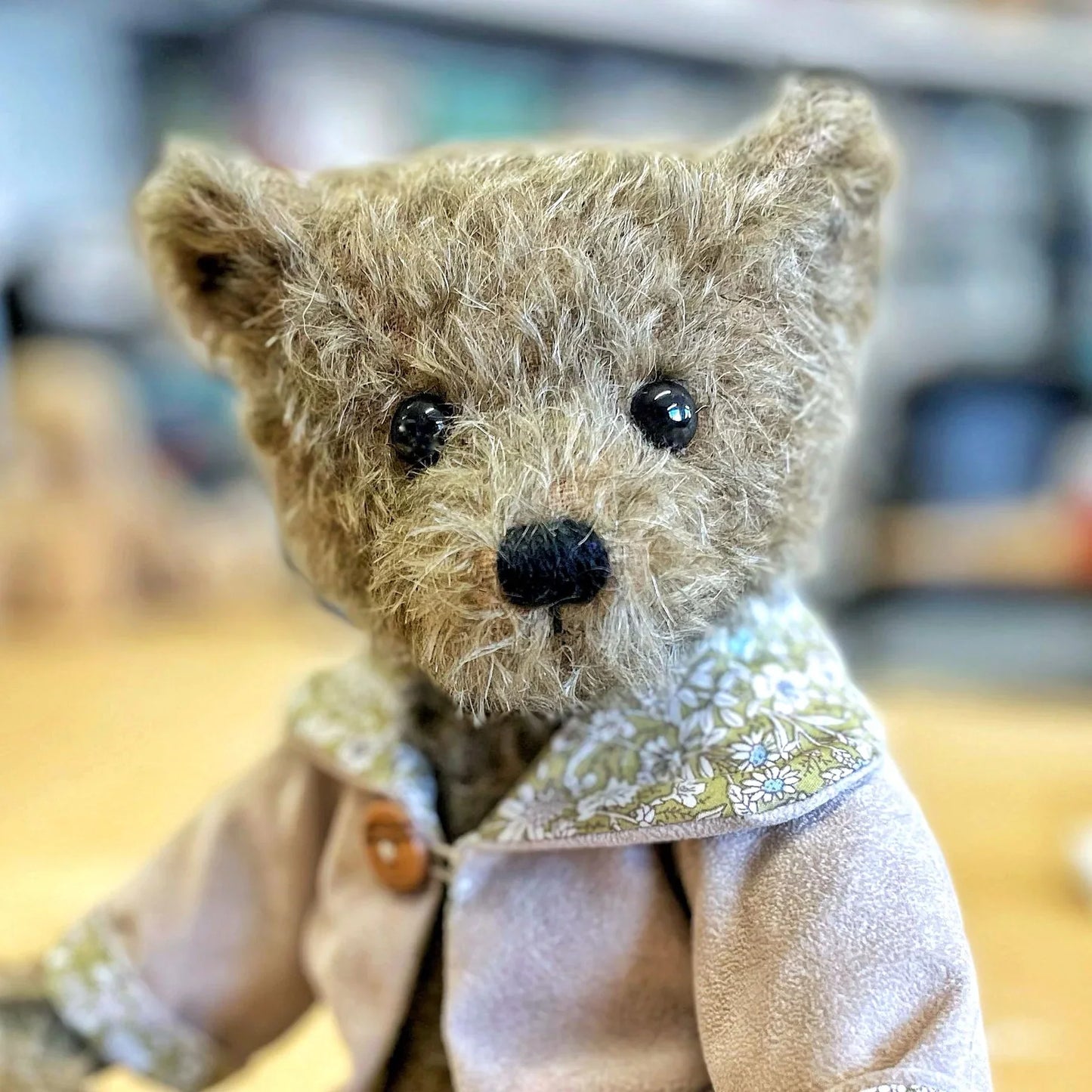 Canterbury Bears Olive