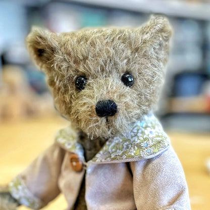 Canterbury Bears Olive