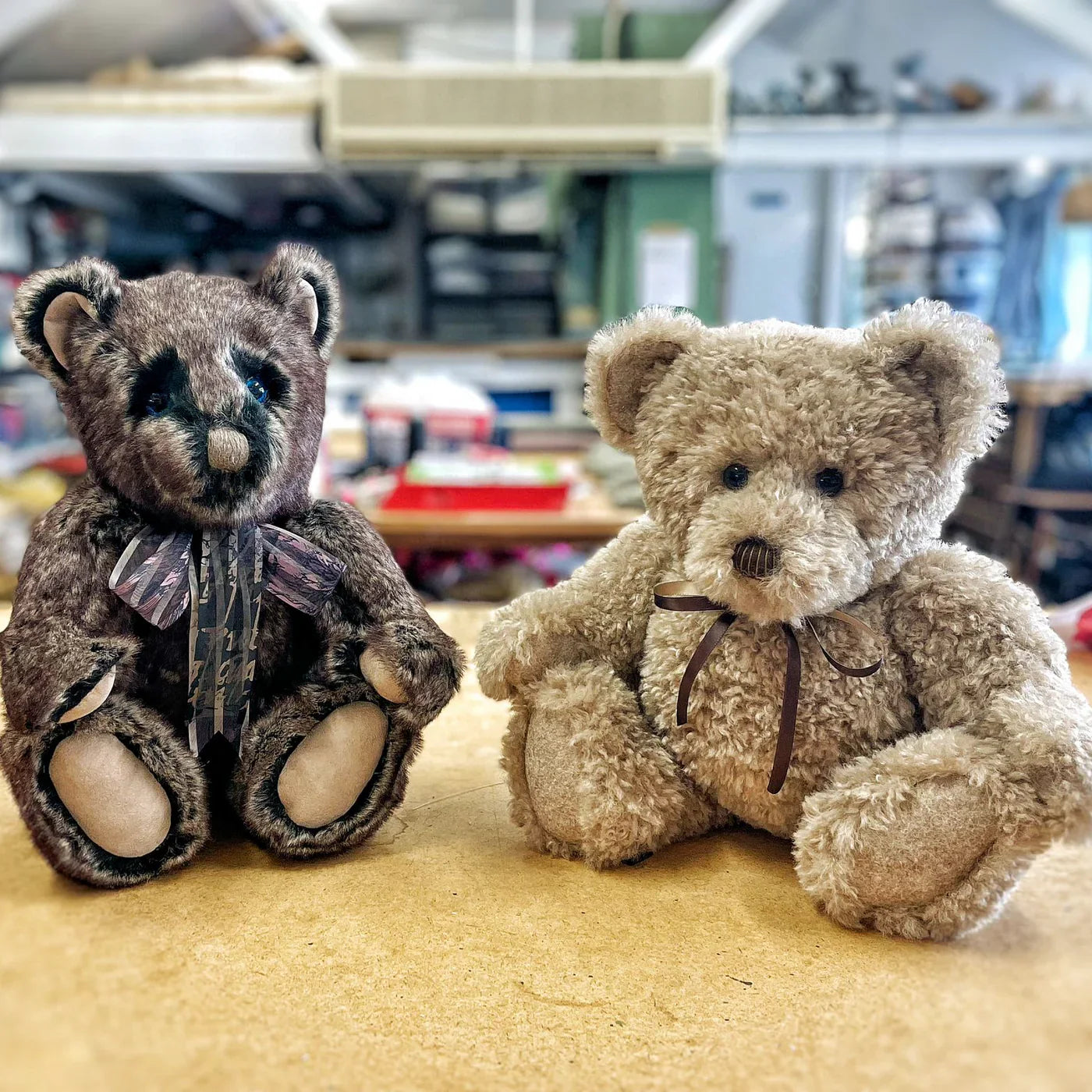 Canterbury Bears Wolfie