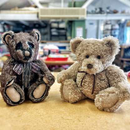 Canterbury Bears Wolfie