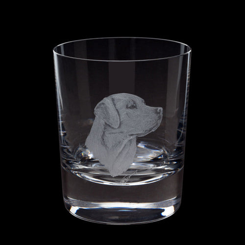 Dartington Crystal Hand Engraved Labrador Tumbler