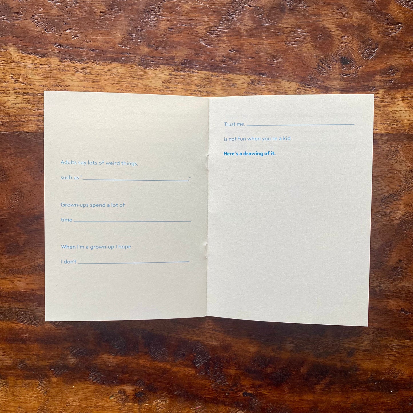ADULTS ARE WEIRD -Journal with Writing & Drawing Prompts