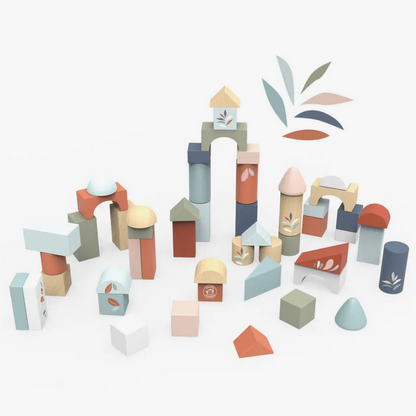 Building Blocks and Shape Sorter (50 pieces)