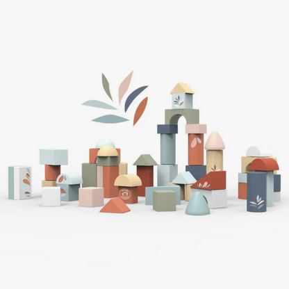 Building Blocks and Shape Sorter (50 pieces)