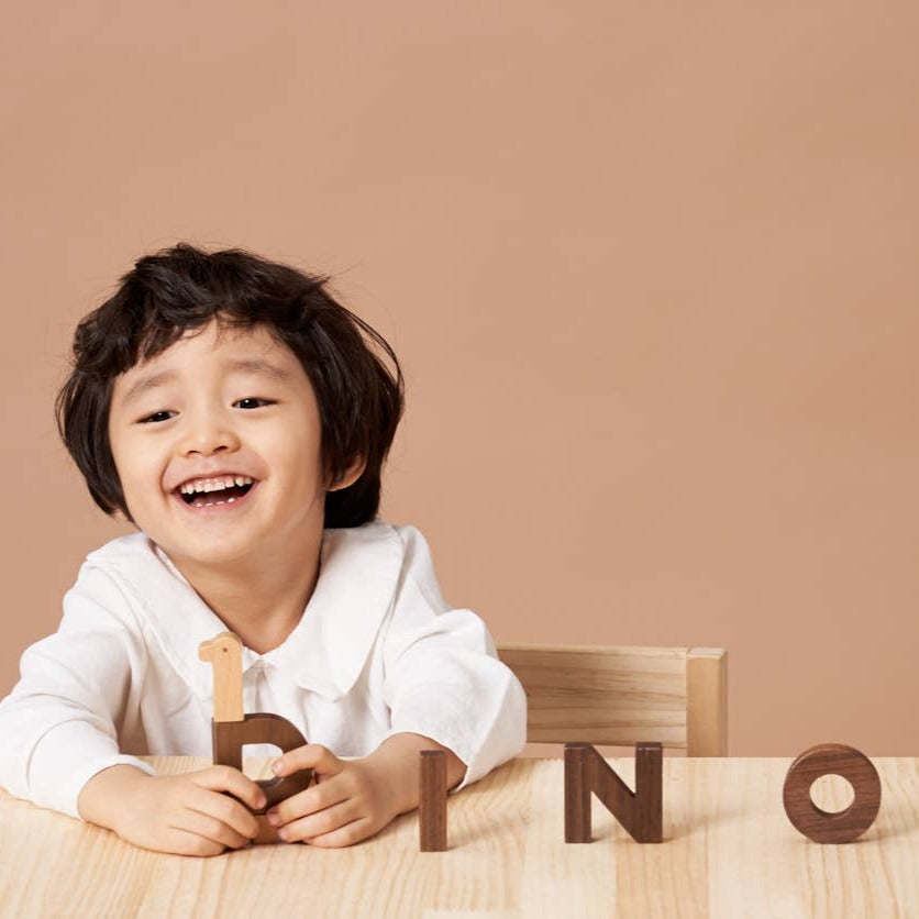 Alphabet Play Blocks