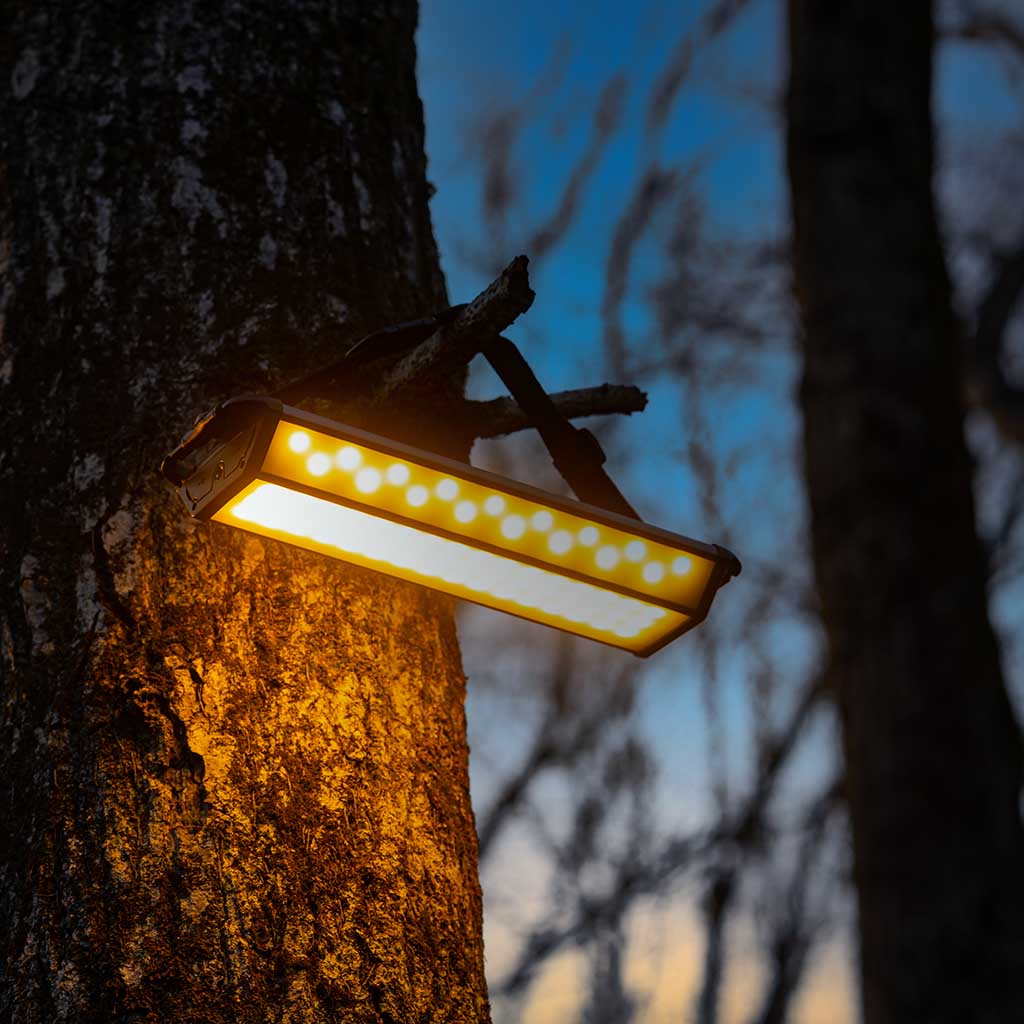 3FACE NEO 10
