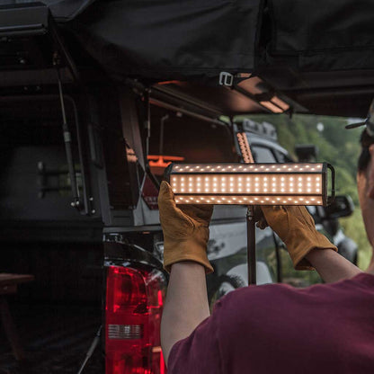 3FACE NEO 10