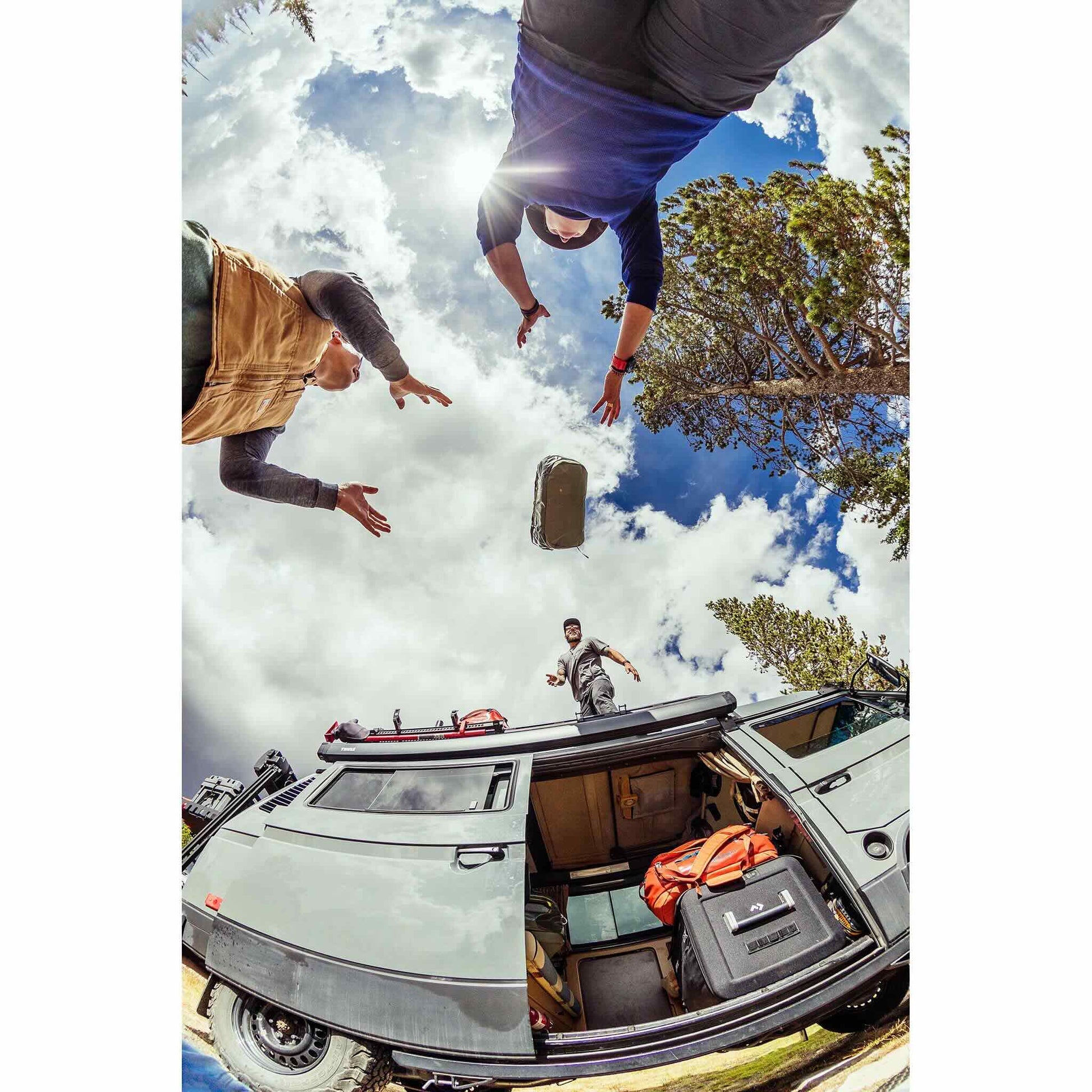 Alpaca 60