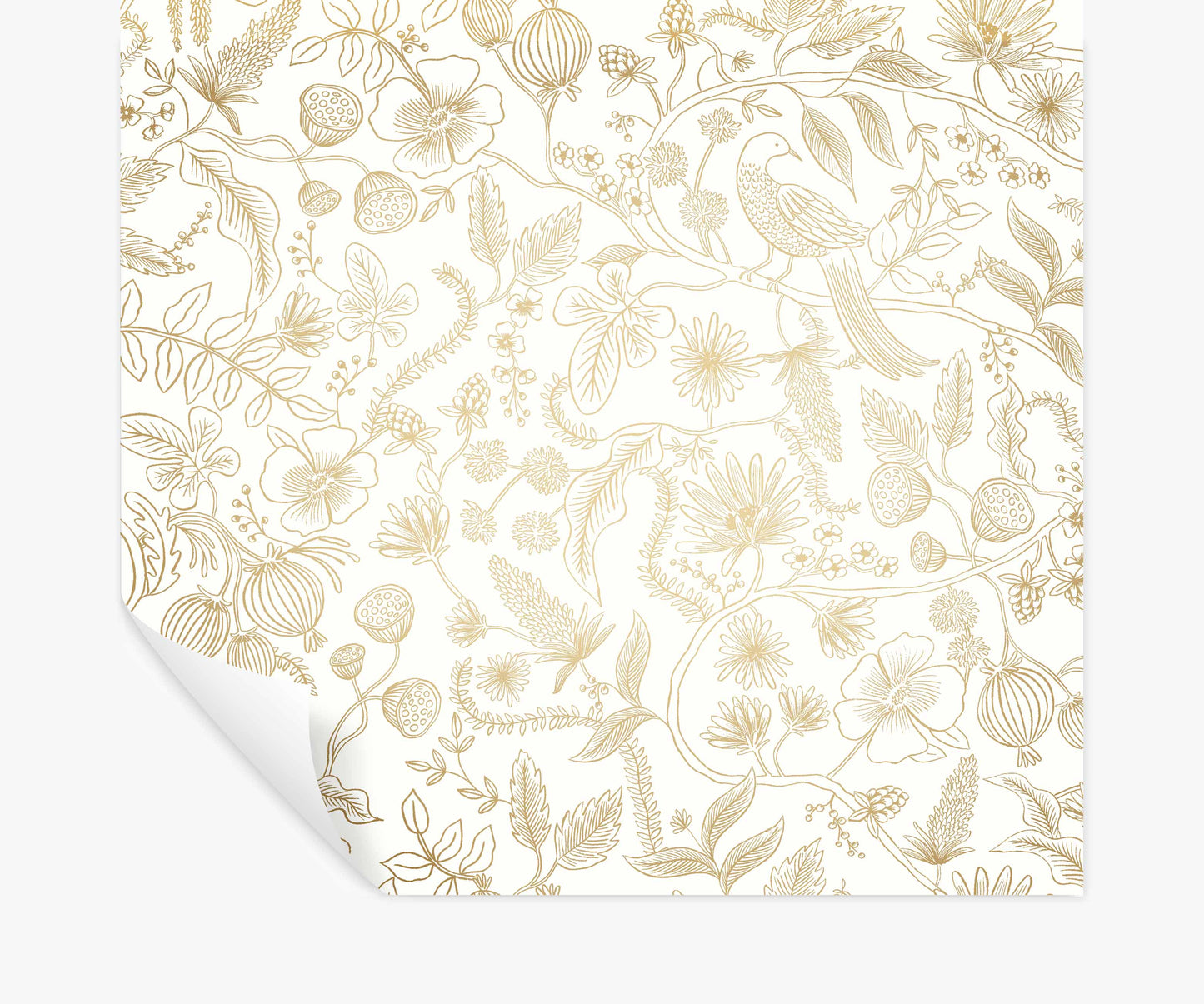 Aviary Peel & Stick Wallpaper - Metallic Gold & Cream