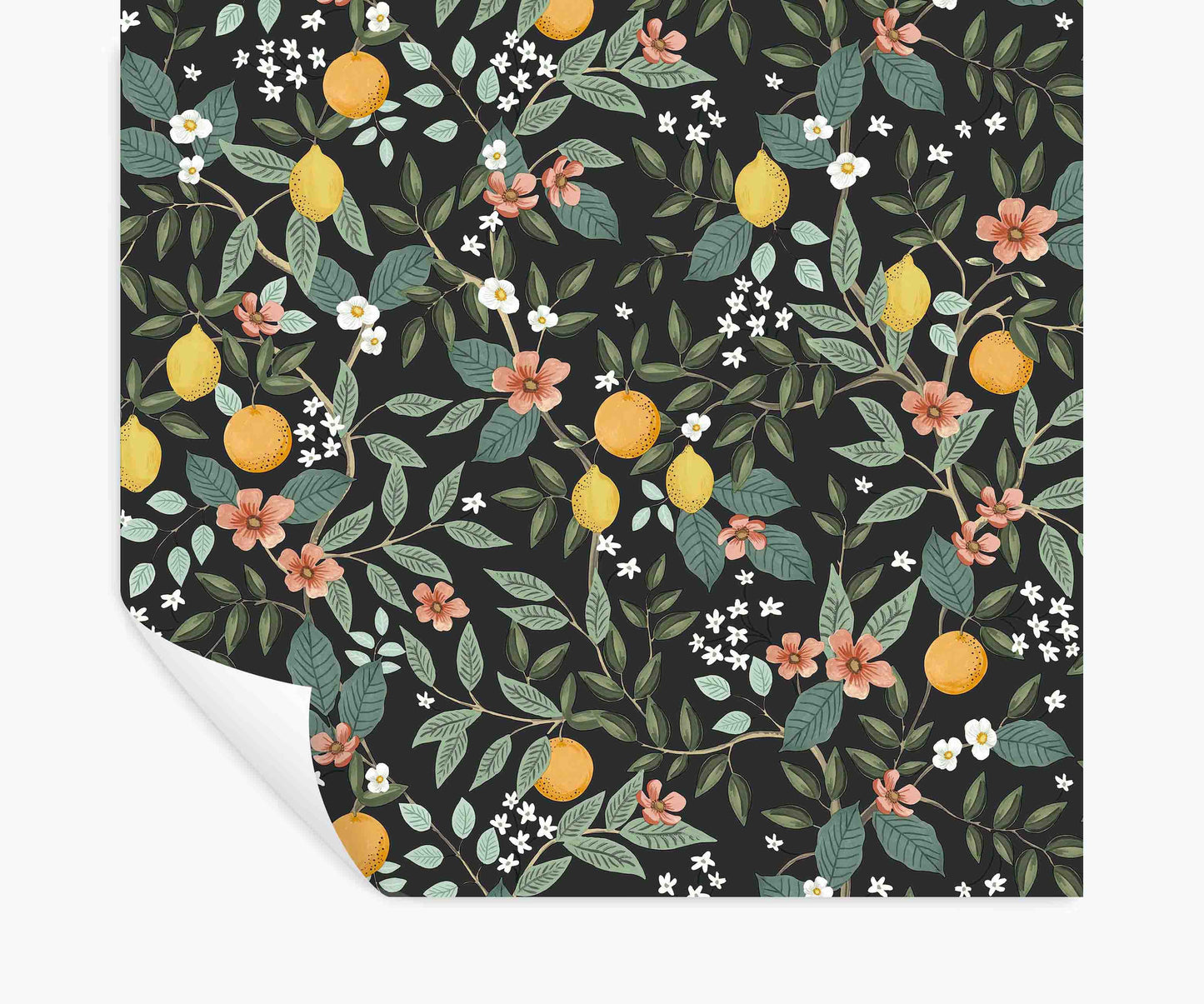 Citrus Grove Peel & Stick Wallpaper - Black